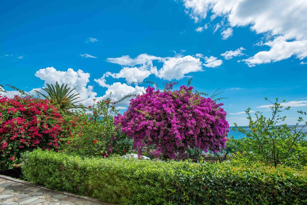 Apartmán Douka Sea Front Residencies Monemvasía Pokoj fotografie
